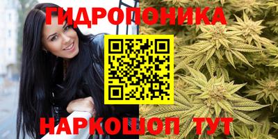 круглые Кингисепп