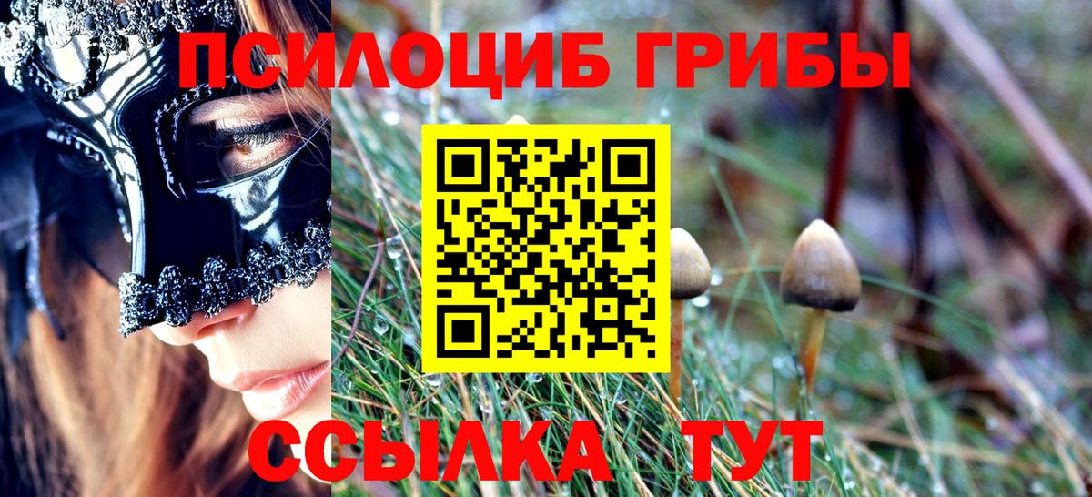 наркота  Псилоцибиновые грибы прущие грибы  Вход с VPN  Ухта 